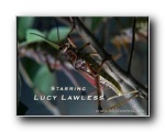 Lucy Lawless - Locusts! Click to enlarge
